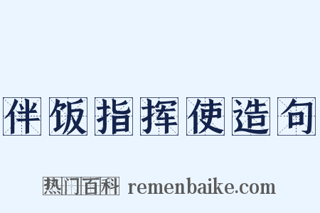 伴饭指挥使造句是什么意思的图片